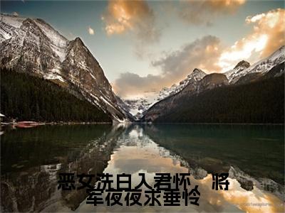 苏蘅晚裴翊小说(苏蘅晚裴翊)（恶女洗白入君怀，将军夜夜求垂怜）完整章节列表_笔趣阁