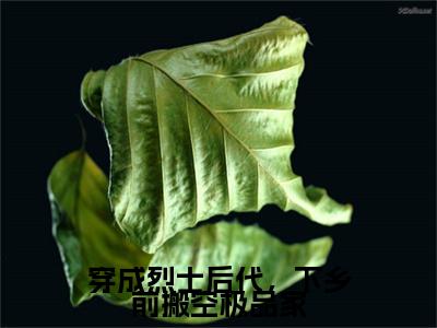 于静静陆云霄小说完结篇(穿成烈士后代，下乡前搬空极品家)（于静静陆云霄）全书无套路阅读无广告小说大结局