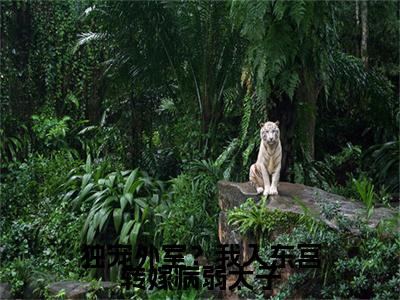 小说慕容珩沈若惜(慕容珩沈若惜)已更新+无删减（慕容珩沈若惜）