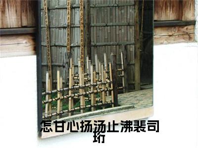 怎甘心扬汤止沸裴司珩唐念慈裴司珩后续(怎甘心扬汤止沸裴司珩)（唐念慈裴司珩）完整章节列表_笔趣阁