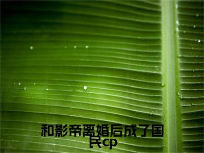 风岚江安之番外（和影帝离婚后成了国民cp）TXT+后续+结局在线阅读