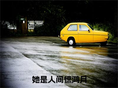 （她是人间惊鸿月）她是人间惊鸿月小说(傅安泽温颜)整书在线无广告高口碑小说