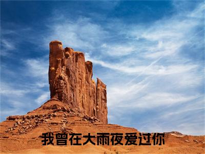 我曾在大雨夜爱过你小说完结篇(徐思城林漫婷)章节前文+全篇阅读（我曾在大雨夜爱过你）最近更新