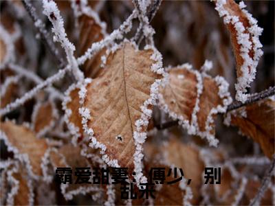 陈落傅奕寒：+番外+后续在线阅读霸爱甜妻：傅少，别乱来