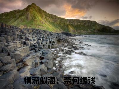 情深似海，奈何缘浅许心雅傅锦州小说（许心雅傅锦州）前传+全书阅读新作预览