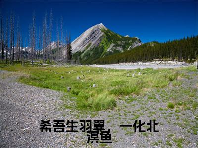 希吾生羽翼，一化北溟鱼纪书澈虞念初彩蛋（纪书澈虞念初）全书在线下载阅读完美终章小说大结局