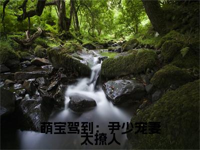 尹司宸小说章节目录+序章（萌宝驾到：尹少宠妻太撩人）全书畅享在线