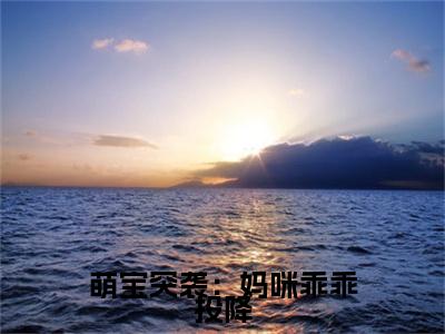 萌宝突袭：妈咪乖乖投降：结局+番外免费品鉴_起点章节+后续（贺兰霆秦雨霏）