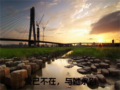 爱已不在，与她永别小说完本章节前文+全篇阅读（沈承磊顾婉莹）连载中