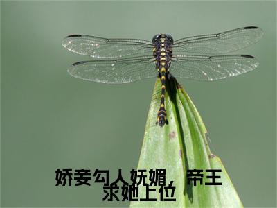 娇妾勾人妩媚，帝王求她上位（夏韶宁萧祈安）前文+全本完整阅读预售作品抢先看