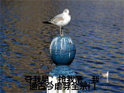 （沈清雪赵嘉树）夺我身，抢我亲，我通古今虐穿全宗门最终篇章(夺我身，抢我亲，我通古今虐穿全宗门)全书在线无广告高口碑小说