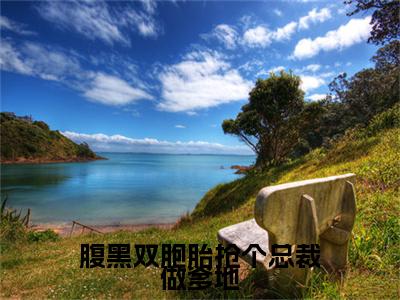 腹黑双胞胎抢个总裁做爹地终章（程海安陆一琛）完整章节列表_笔趣阁