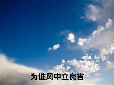 为谁风中立良宵小说完本+外篇（何羡渔赵砚初）畅享阅读