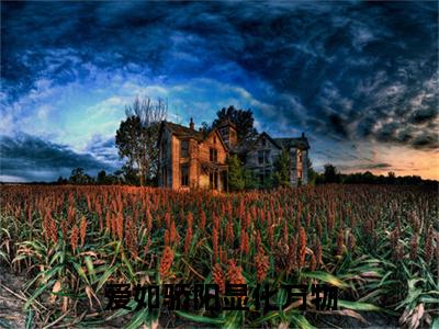 热更章节_笔趣阁（许雾林清也）爱如骄阳显化万物许雾林清也后续全本浏览阅读