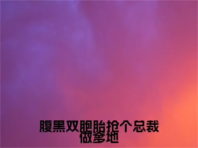 程海安陆一琛小说（腹黑双胞胎抢个总裁做爹地）起点章节+全篇阅读热门作品预订