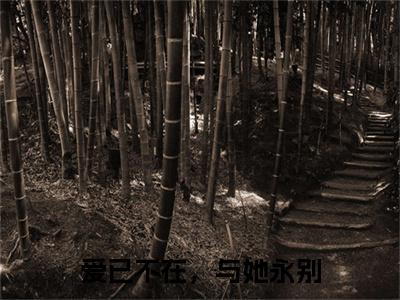 电子书+番外篇章+（沈承磊顾婉莹）免费版在线阅读