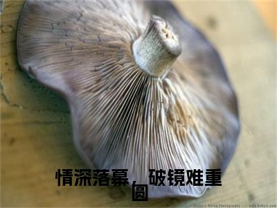 林挽星付景川小说(情深落幕，破镜难重圆)小说结尾+隐藏篇章（林挽星付景川）畅享阅读