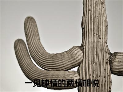 一见钟情的两情相悦(夏颜谭正东)（一见钟情的两情相悦）完整章节列表_笔趣阁