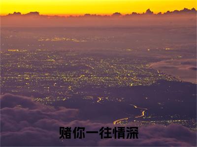 简欢沈斯聿附加完整在线阅读（赌你一往情深）最近更新列表