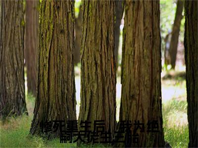 宁时浅陆昱安完整在线阅读（惨死重生后，我为绝嗣大佬生三胎）前传列表