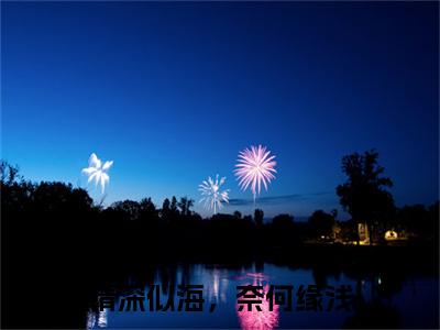 情深似海，奈何缘浅小说(情深似海，奈何缘浅)（许心雅傅锦州）完整章节列表_笔趣阁