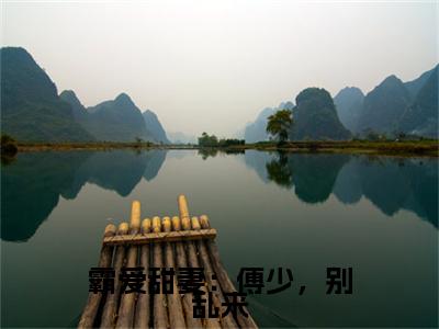 畅读精品正版（霸爱甜妻：傅少，别乱来）陈落傅奕寒：+后续全本完整+后续+结局在线阅读