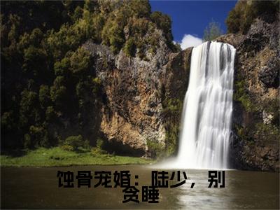 蚀骨宠婚：陆少，别贪睡小说(陆斯年苏简)（蚀骨宠婚：陆少，别贪睡）在线畅读阅读连载中