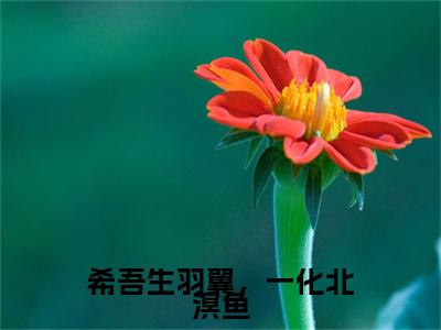 热门章节_笔趣阁（希吾生羽翼，一化北溟鱼）希吾生羽翼，一化北溟鱼小说(纪书澈虞念初)章节在线阅读