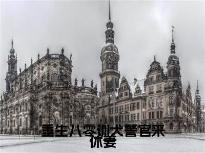 小说大结局小说江亦渊秦雪珺小说已更新+特别篇（重生八零训犬警官来休妻）纯净版