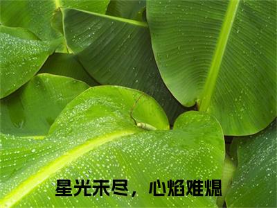 独家裴期阮轻小说小说大结局（星光未尽，心焰难熄）全篇在线下载阅读