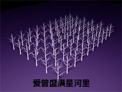 盛欢江星野(爱曾盛满星河里)（盛欢江星野）在线畅读+开篇大作+前传