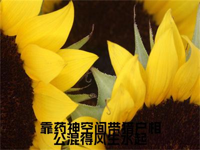 靠药神空间带猎户相公混得风生水起：结局+番外免费品鉴终极反转（花意柳贺知州）：结局+番外评价五颗星