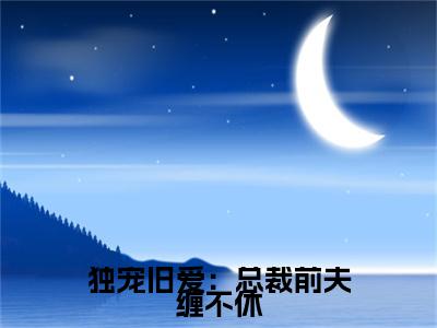 （头条）独宠旧爱：总裁前夫缠不休小说(江邵寒叶惟初)整本免费版阅读无广告（独宠旧爱：总裁前夫缠不休）