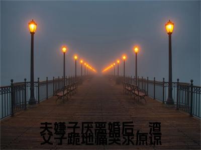 （程卿知）夫嫌子厌离婚后，渣父子跪地痛哭求原谅程卿知最终篇章(夫嫌子厌离婚后，渣父子跪地痛哭求原谅)全书在线无广告高口碑小说