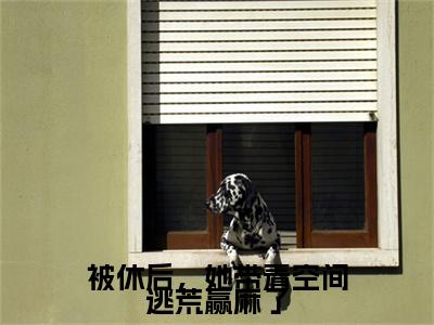 独家被休后，她带着空间逃荒赢麻了小说(夏瑜)（被休后，她带着空间逃荒赢麻了）电子书畅享阅读
