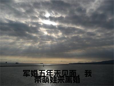 热文推荐沈念卿陆归尘军婚五年未见面，我带萌娃来离婚小说大结局（军婚五年未见面，我带萌娃来离婚）书荒必看列表