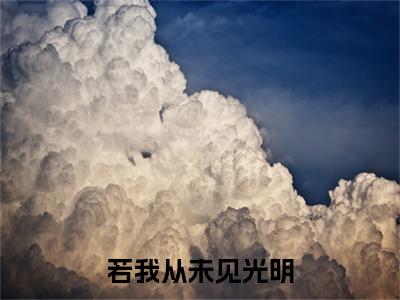 前传若我从未见光明续集(若我从未见光明)终章阅读极简（若我从未见光明）