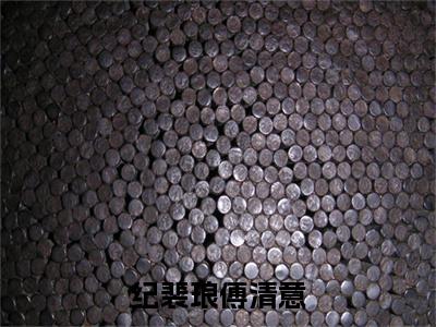 傅清意纪裴琅完结篇（纪裴琅傅清意）全篇免费版在线+无障碍结局