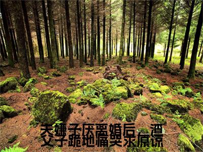 夫嫌子厌离婚后，渣父子跪地痛哭求原谅是什么小说(程卿知)（夫嫌子厌离婚后，渣父子跪地痛哭求原谅）全本完整清爽版在线+无广告结局