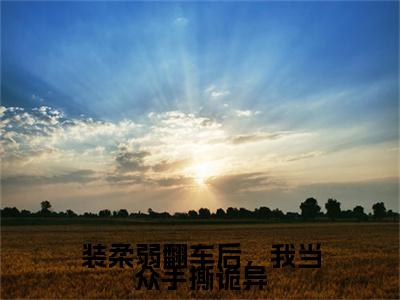 小说大结局小说装柔弱翻车后，我当众手撕诡异小说已更新+特别篇（林小墨）纯净版