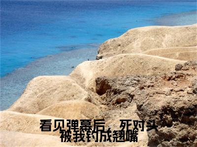 完结篇小说温絮裴安小说(看见弹幕后，死对头被我钓成翘嘴)已更新+无删减（温絮裴安）无广告