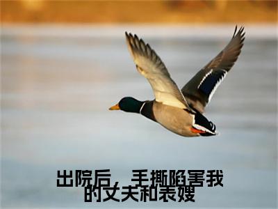 出院后，手撕陷害我的丈夫和表嫂全文最新章节（付慎行）全文免费阅读无弹窗大结局_付慎行免费阅读
