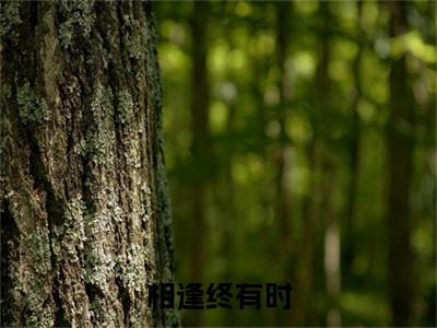 （江清怡秦云礼）相逢终有时小说最终篇章章节在线无广告高口碑小说