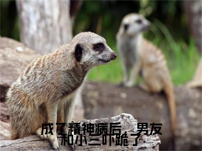 （书荒必看）齐司年林巧巧小说TXT无套路阅读