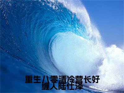 许穗荷陆仕泽小说(重生八零清冷营长好缠人陆仕泽)最近更新（许穗荷陆仕泽）整本无套路阅读