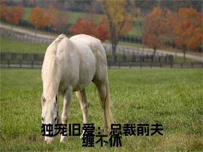 独宠旧爱：总裁前夫缠不休江邵寒叶惟初后续(独宠旧爱：总裁前夫缠不休)（江邵寒叶惟初）完整章节列表_笔趣阁