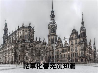 安折沈知渊续集起点章节+全书阅读（枯草化春芜沈知渊）书荒必看