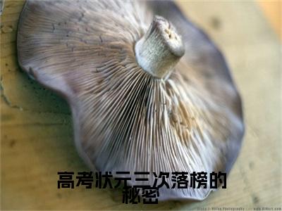 高考状元三次落榜的秘密：结局+番外新上热文_笔趣阁（陈高竹）陈高竹：结局+番外评价五颗星