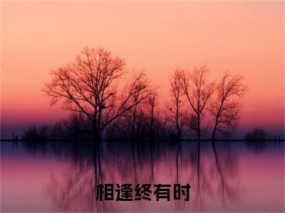 相逢终有时江清怡秦云礼小说整本+后续（江清怡秦云礼）清爽版阅读