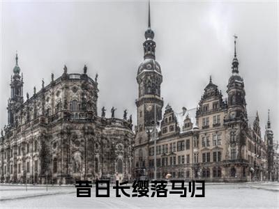 全网首发昔日长缨落马归小说叫什么(墨驰徹陆扶黎)（昔日长缨落马归）全书阅读纯净阅读